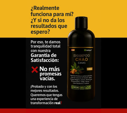 Shampoo + Tratamiento Chao Canas | Recupera tu color natural, cuida tu salud y ahorra dinero en un solo paso