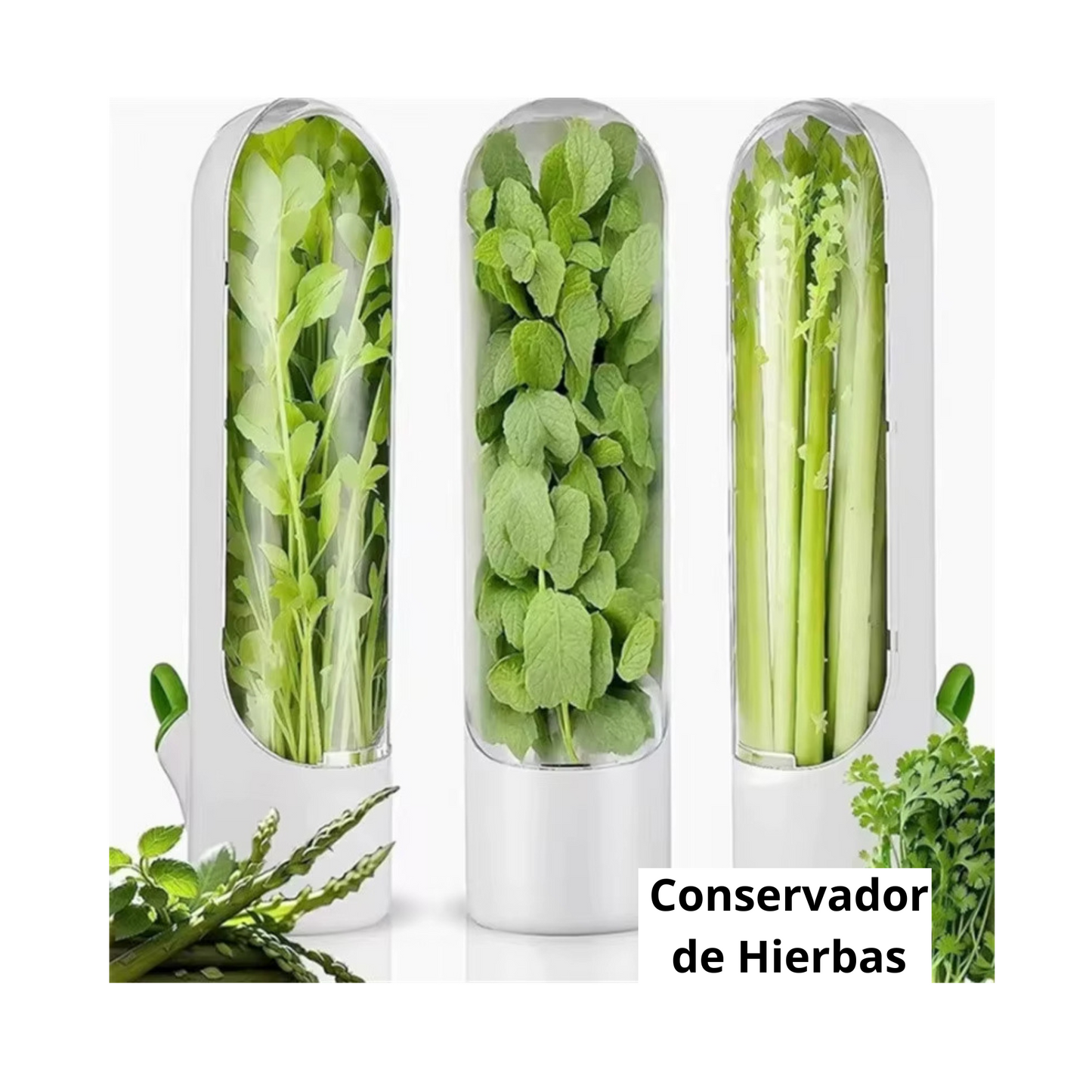 Tu huerto en  la nevera, conservador de hierbas